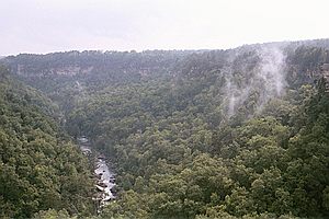 Unspoiled beauty
